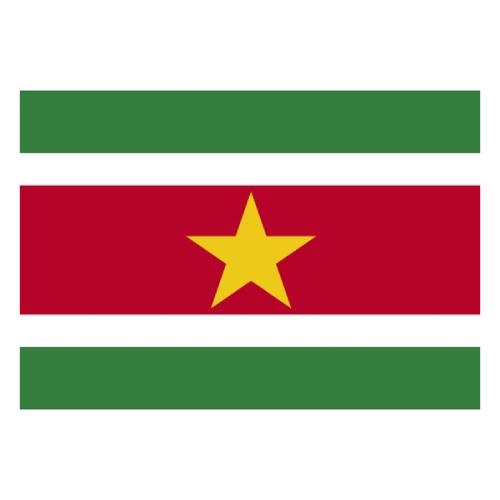 Vlag_Suriname_150cmX90cm