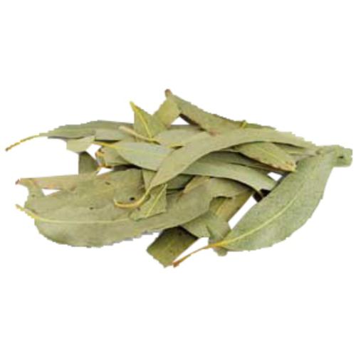 _Eucalyptus_Leaves_1oz