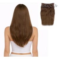 K_C_Clip_In_Extentions_45cm_Straight_No__F4