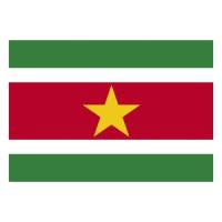 Vlag_Suriname_150cmX90cm