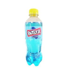 Busta_Blue_Berry_500ml