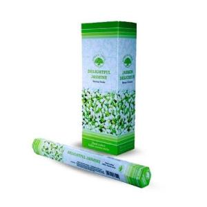 Green_Tree_Delightful_Jasmine_Incense_Sticks