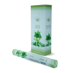 Green_Tree_Sage_Salvia_Incense_Sticks